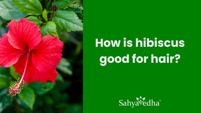 How is hibiscus good for hair?